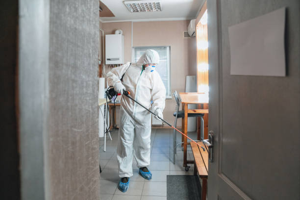 Best Asbestos and Lead Testing During Mold Inspection  in Ambler, PA