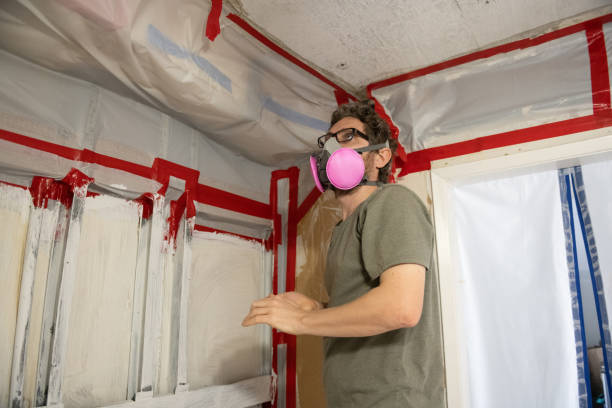 Biohazard Mold Removal in Ambler, PA